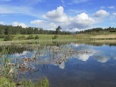 GRAND BERNARDI (VTT 14)
