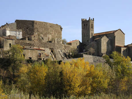 LE CHEMIN DE SAINT-MARTIN