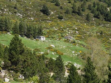 DE LECA À LA DEVESA DE VALLBONA