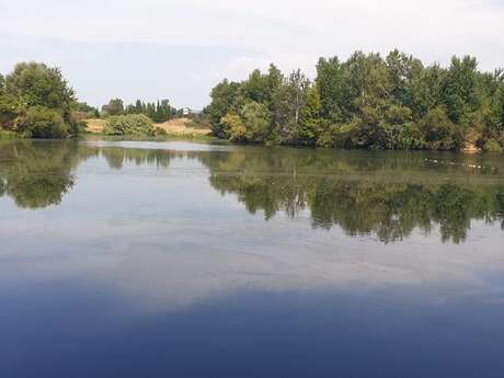 LE LAC DES BOUZIGUES