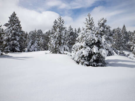 BALCON VALL DE GALBA