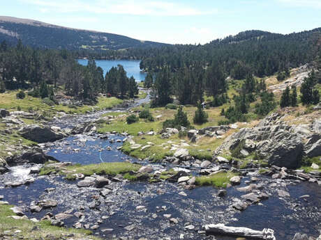 SITE CLASSE DES CAMPORELLS