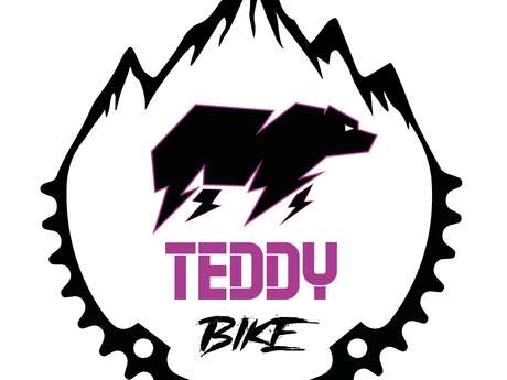 TEDDY BIKE