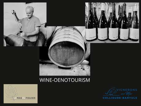 PRESENTATION ET DEGUSTATION DES CUVEES DU MAS DU FIGUIER