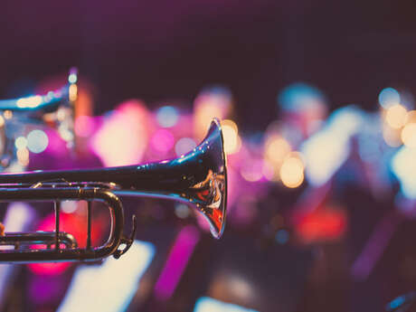 ANIMATION MUSICALE - NICO SAX