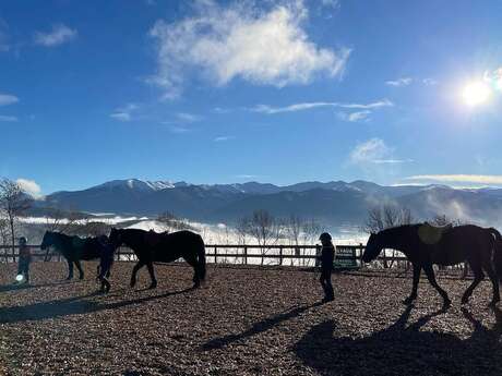 NEVADA MOUNTAIN PADDOCK