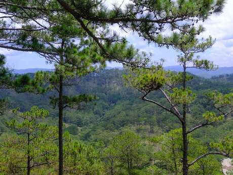 EXPOSITION LA FÔRET DES PO