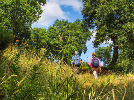 RANDO DECOUVERTE "PAYSAGES ET PATRIMOINE EN MONTAGNE"