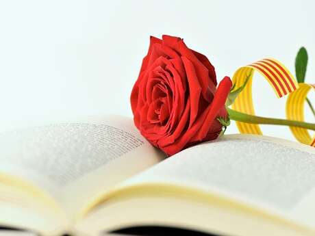 SANT JORDI A PORT-VENDRES