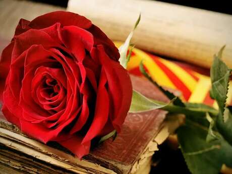 SANT JORDI - ASSOCIATION «ESCOLÀ DE CATALÀ »