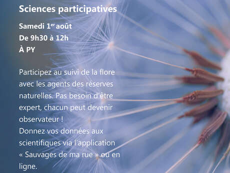 SCIENCE PARTICIPATIVE : SAUVAGES DE MA RUE