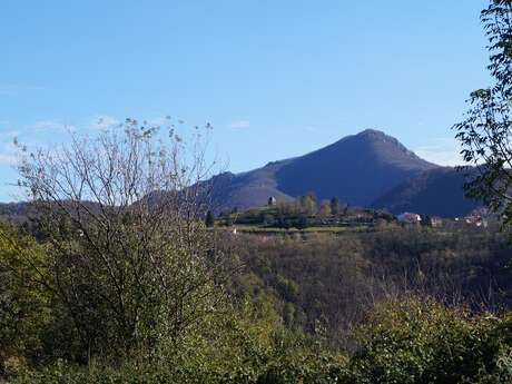 DU TECH À SERRALONGUE