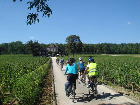 Location vélo : Bourgogne Evasion Beaune by Active Tours