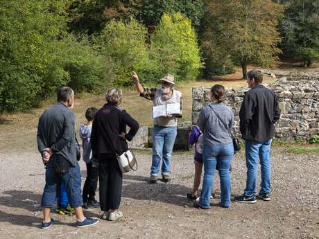 Visite guidée du site archéologique de Bibracte en allemand
