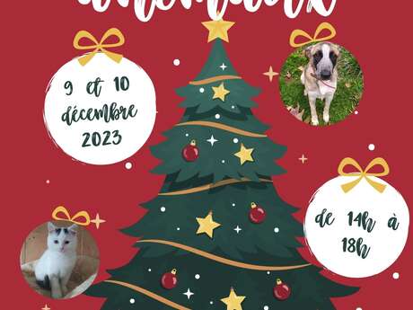 Noël des animaux