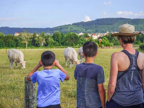 Curgy rando et patrimoine