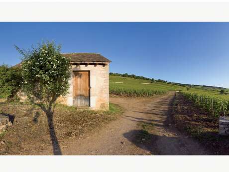 Montagne de Beaune