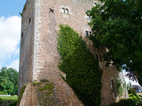 Musée du Donjon - Musée Raymond Rochette