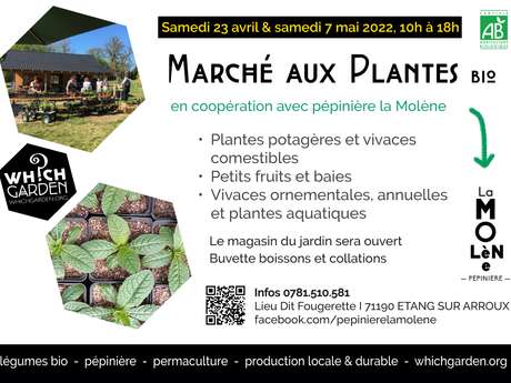 Marché aux Plantes BIO