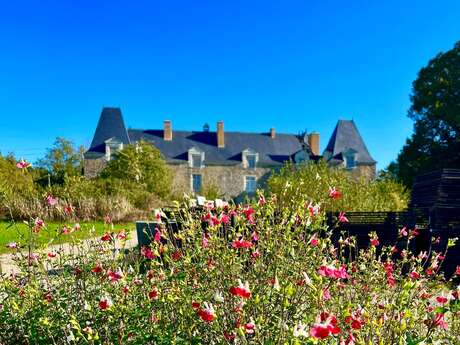 Spectacles, stages et formations au Château de Linières