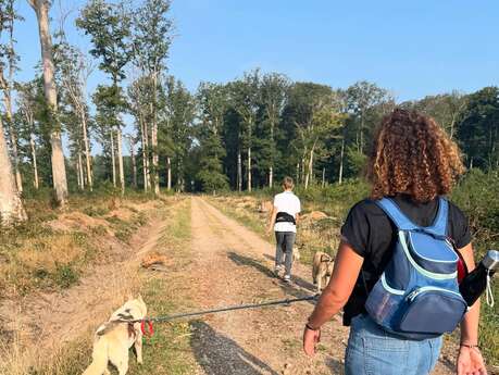 Formule cani randonnée d’une journée - Cani-tout tout