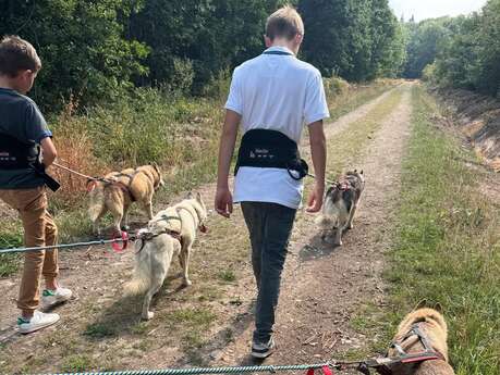 Formule cani randonnée en demi-journée - Cani-tout tout