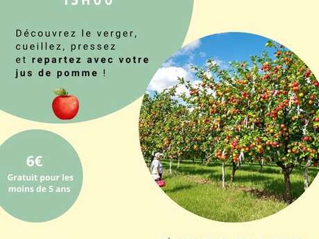 En automne, cueillons des pommes