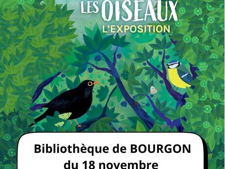 Exposition : Observons les oiseaux