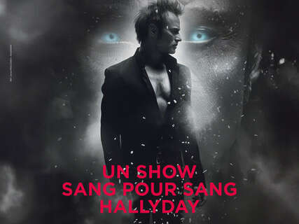 Concert - David Hallyday // Espace Mayenne