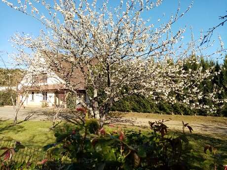 Gîte des Grandes Bretonnières