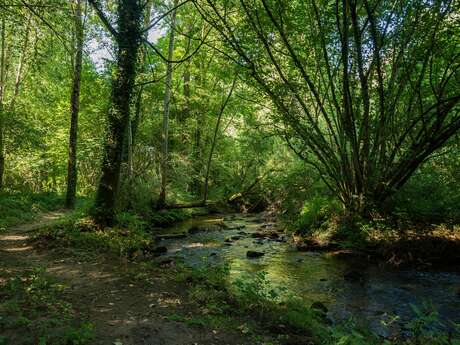 LASSAY, CIRCUIT DU RUISSEAU