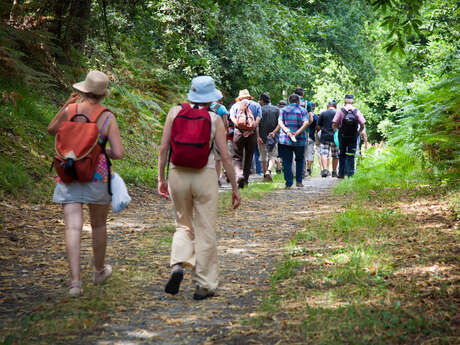 Montreuil-le-Henri- Le circuit Jericho