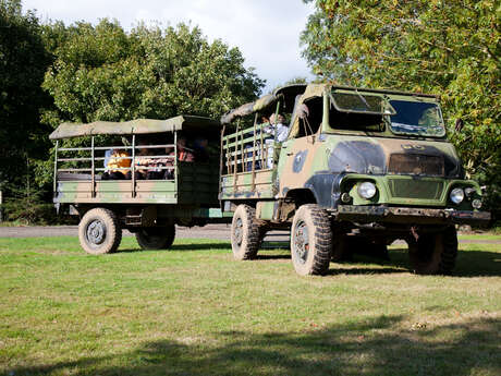 Safari ferme : élevage de cerfs