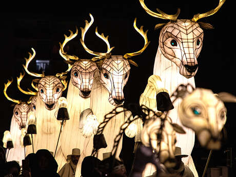 PARADE DE NOËL : L'ENVOL