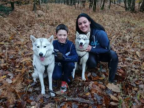 Husky d'Anjou, le monde du chien de traîneau