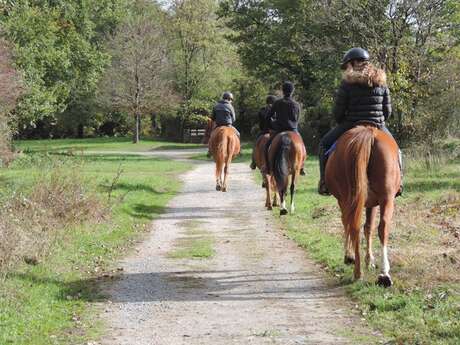 SÉJOURS EQUESTRES