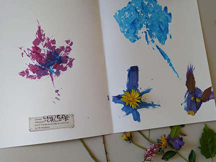 Atelier "Herbier fantastique"