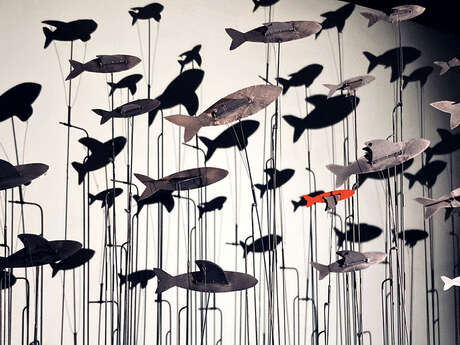 Il y a des oiseaux dans l'aquarium - Cie l'insolite mécanique / Le Théâtre (PUPAZZI)