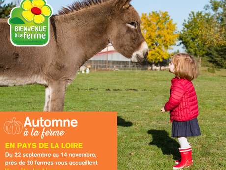 Automne à la ferme - La cueillette Duverger