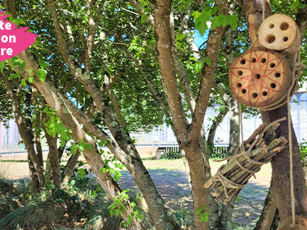 Atelier "Hôtel à insectes "