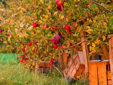 Découverte de la ferme "Les Quantières"