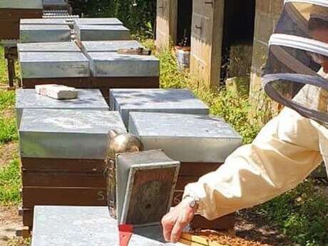 Visite de la miellerie "Rêve d’abeilles"