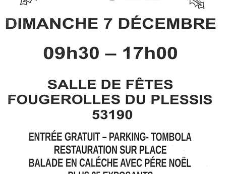 Marché de Noël à Fougerolles-du-Plessis