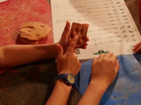 Atelier Famille "Voyage des animaux"