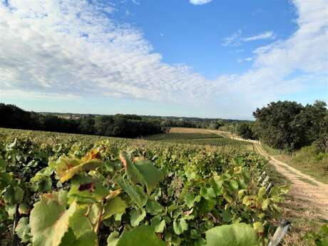 BOUCLE CIRCUIT MOULINS ET CHATEAUX