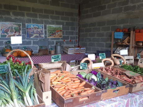 LE MARCHÉ DES PRODUCTEURS BIO ET LOCAUX DE BELLE GARDE