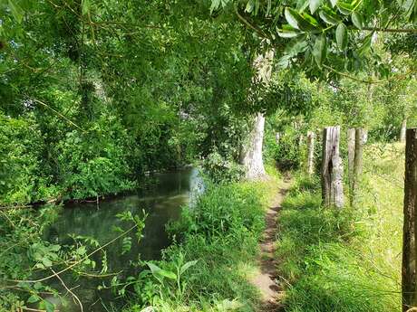 Expédition Marais Poitevin - Le Marais mouillé du Bois Riveau 
