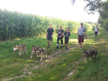 Cani-rando et balade kart : Association des Crocs Blancs Sarthois