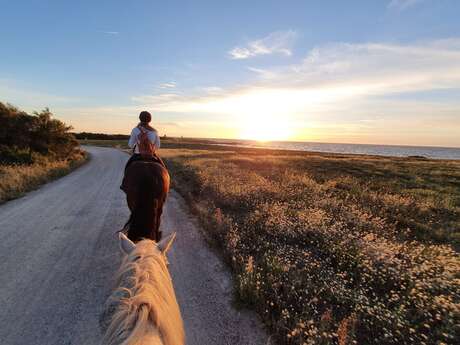 Randonnée à cheval "Demi-tour de l'île"