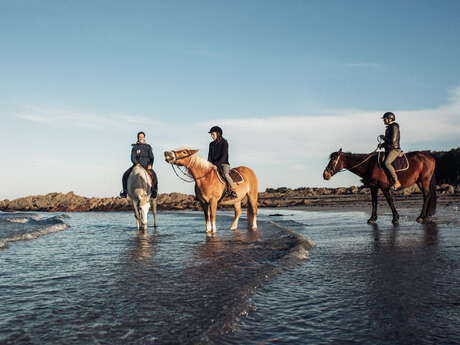 Balades à cheval avec Caval Coaching